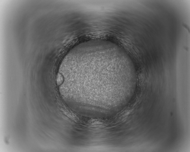 X0000100980913200807011440