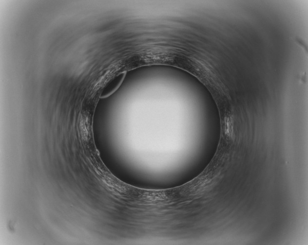 X0000100980915200807011440