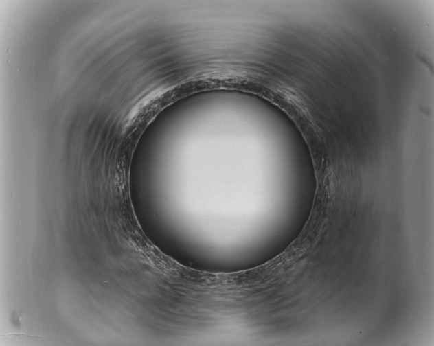 X0000100980920200807011440