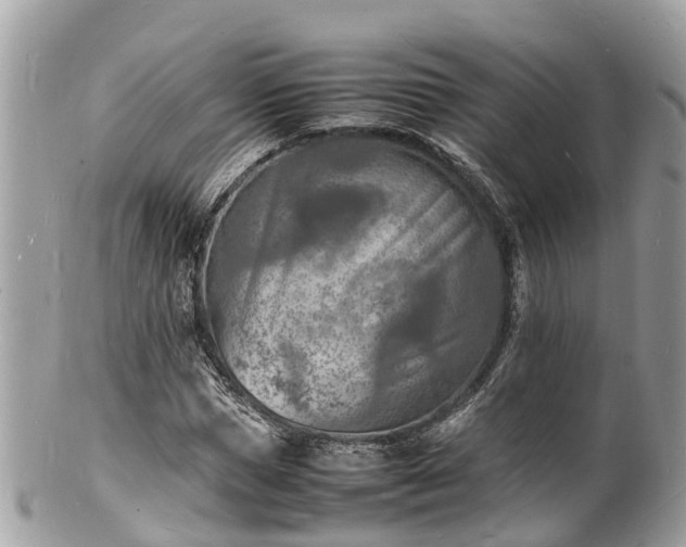 X0000100980921200807011440