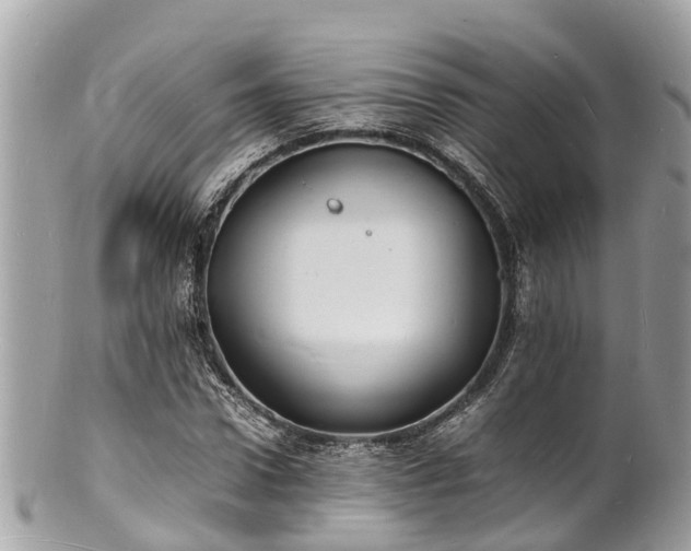 X0000100980922200807011440