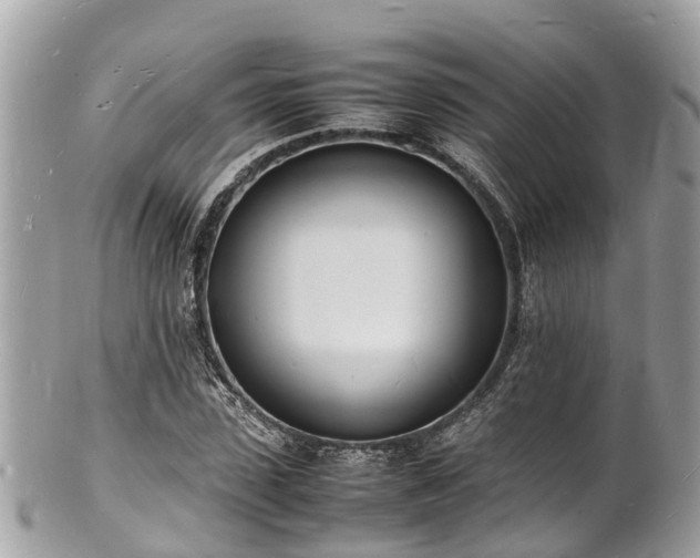 X0000100980923200807011440