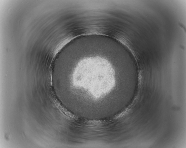 X0000100980925200807011440