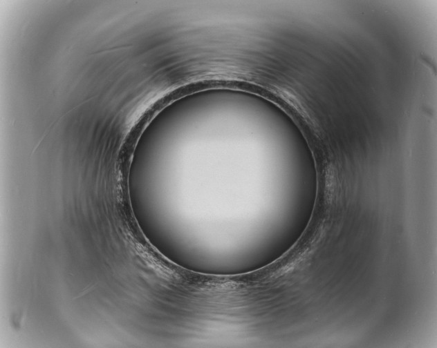 X0000100980926200807011440