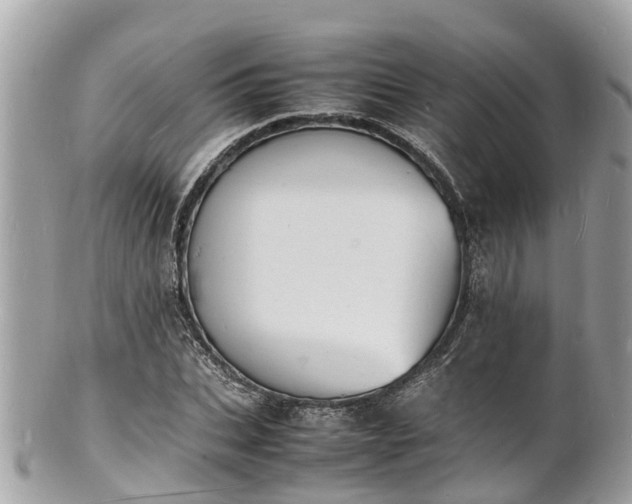 X0000100980927200807011440