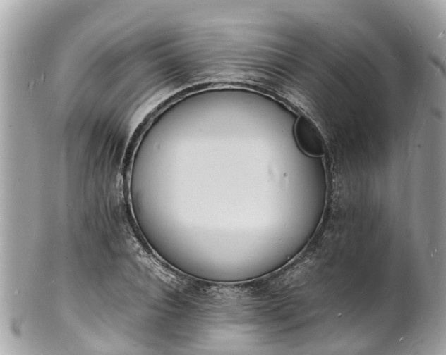 X0000100980928200807011440