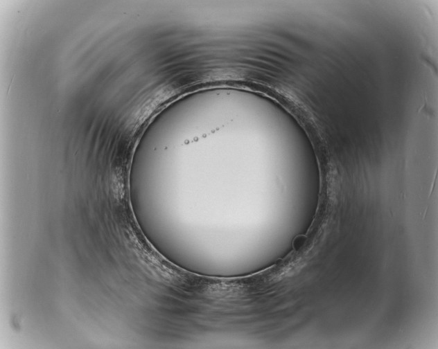 X0000100980929200807011440