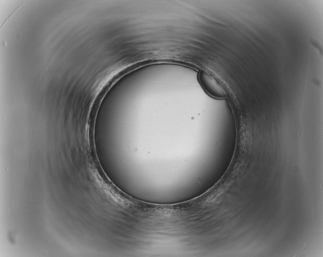 X0000100980932200807011440