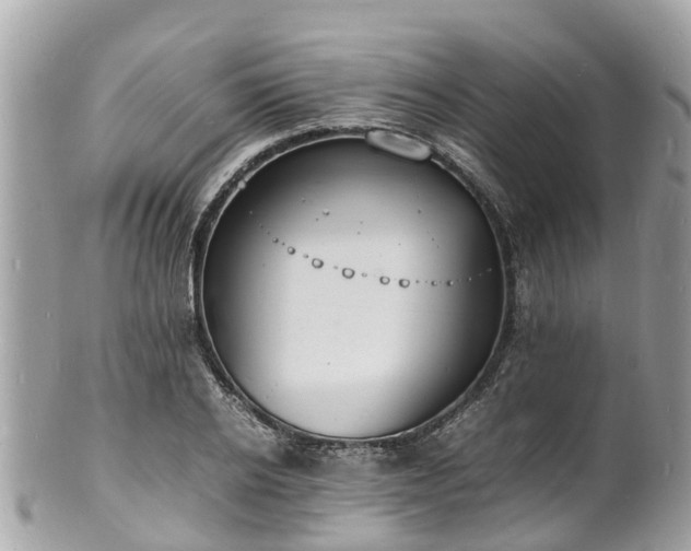 X0000100980934200807011440