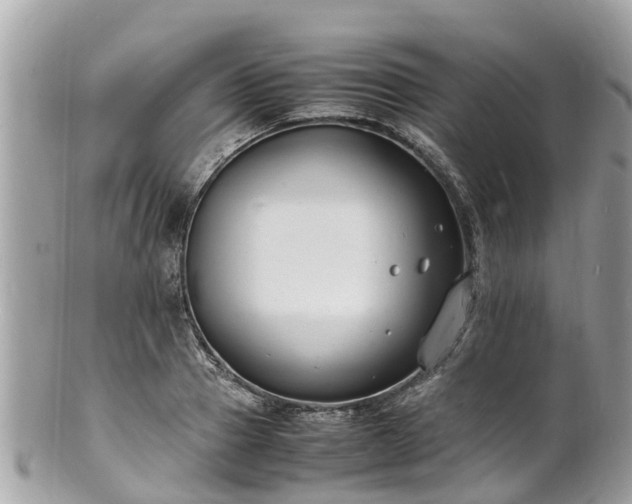 X0000100980937200807011440