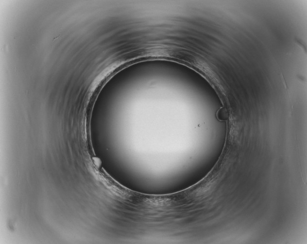 X0000100980939200807011440