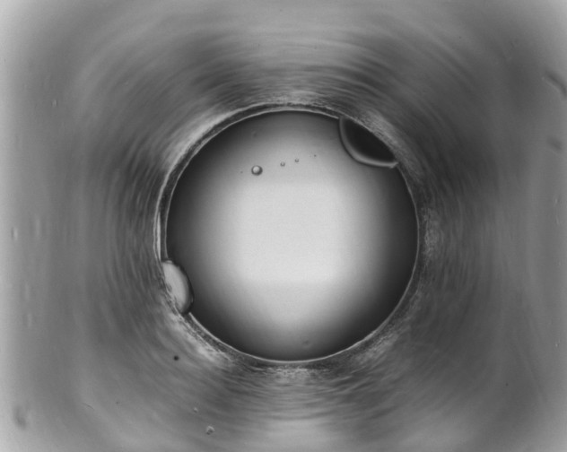 X0000100980940200807011440