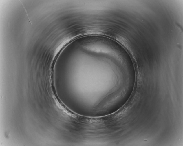 X0000100980941200807011440