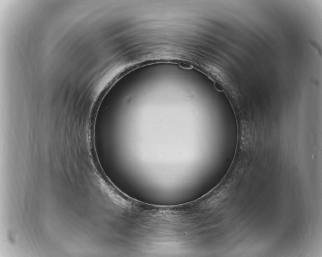 X0000100980942200807011440