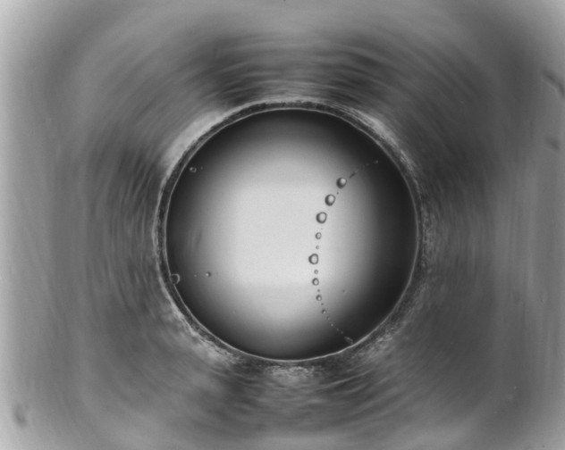 X0000100980943200807011440