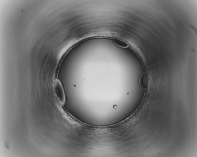 X0000100980944200807011440