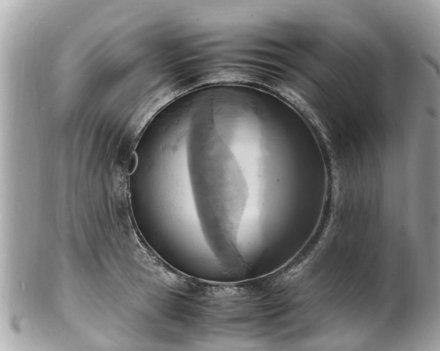 X0000100980945200807011440