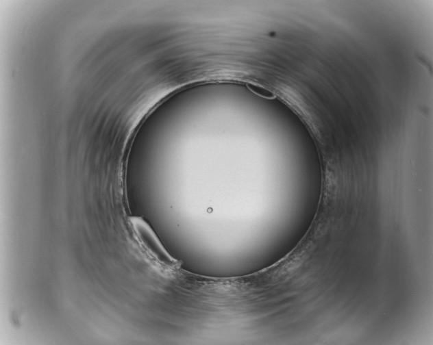 X0000100980948200807011440