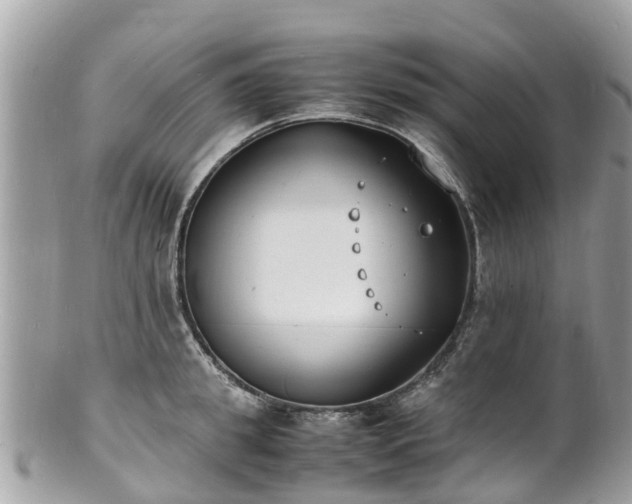 X0000100980949200807011440