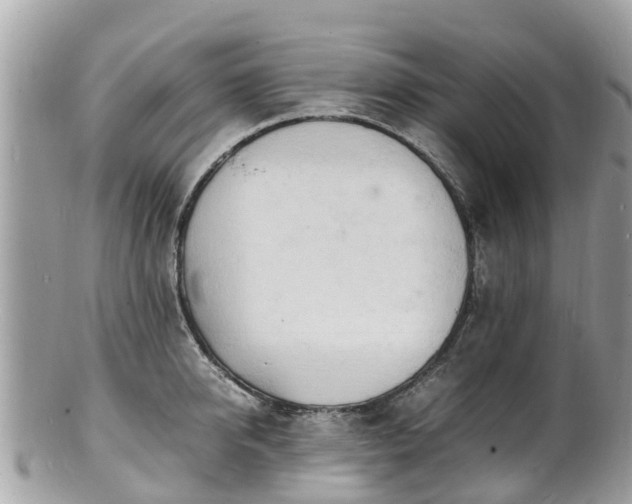 X0000100980950200807011440