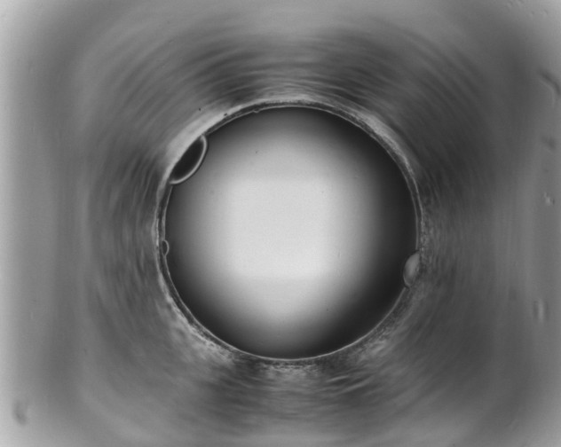 X0000100980951200807011440