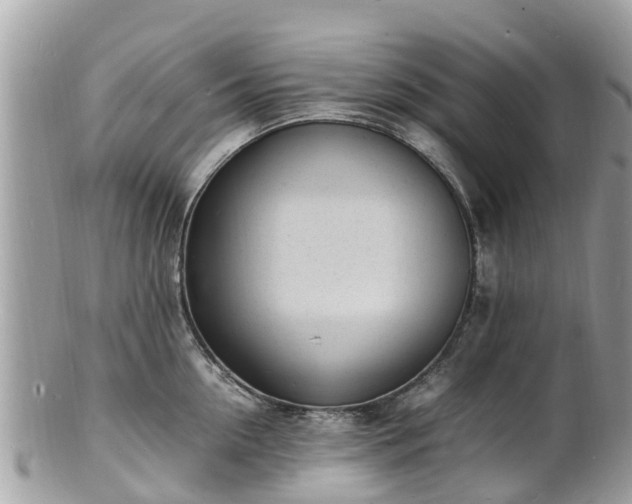 X0000100980954200807011440