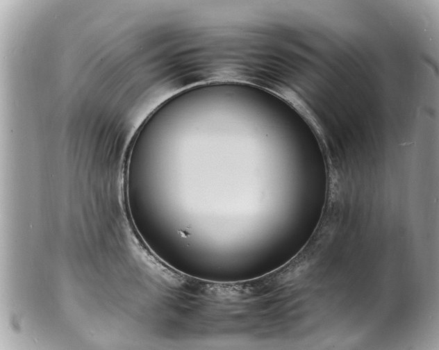 X0000100980955200807011440