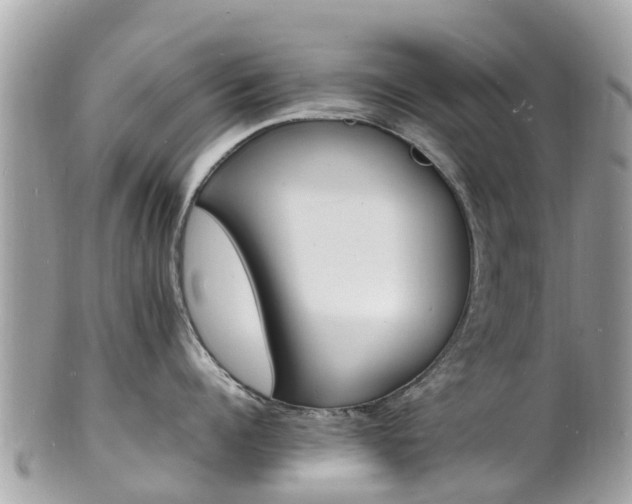 X0000100980960200807011440