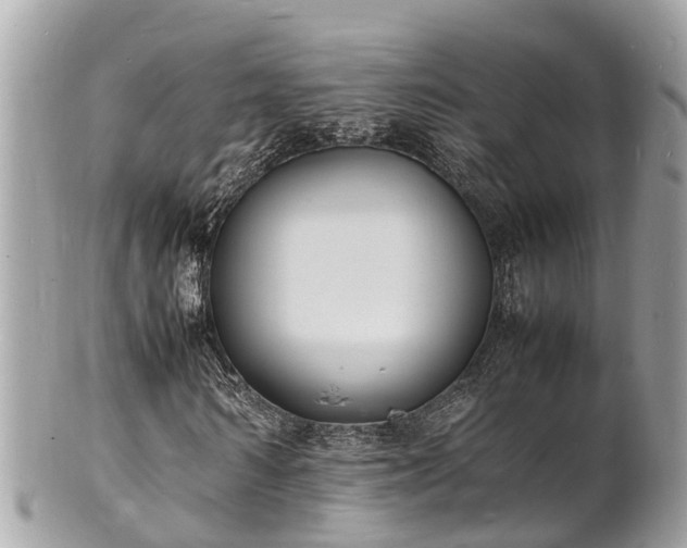 X0000100980962200807011440