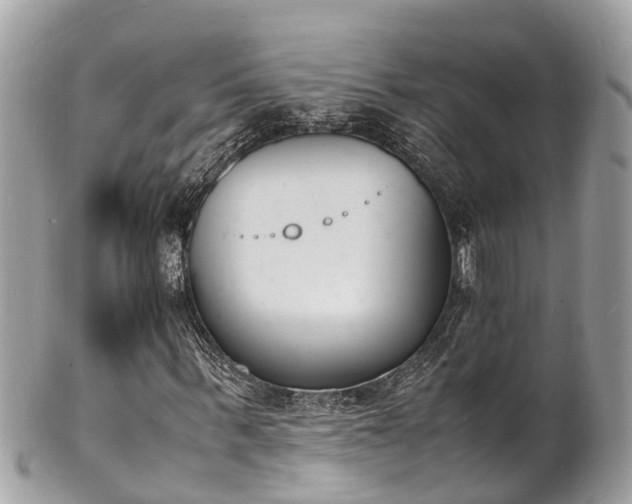 X0000100980963200807011440