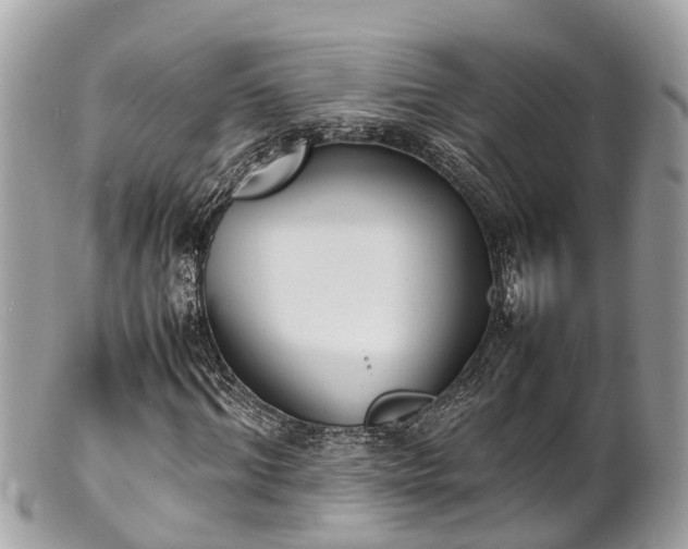 X0000100980964200807011440