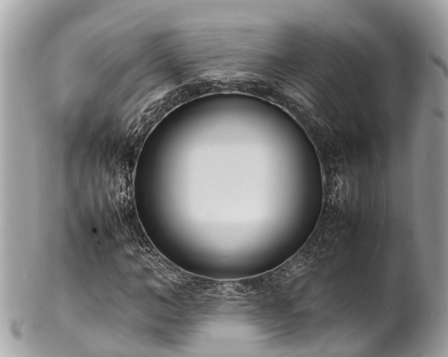 X0000100980966200807011440