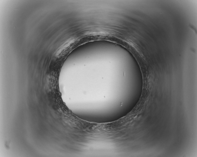 X0000100980967200807011440