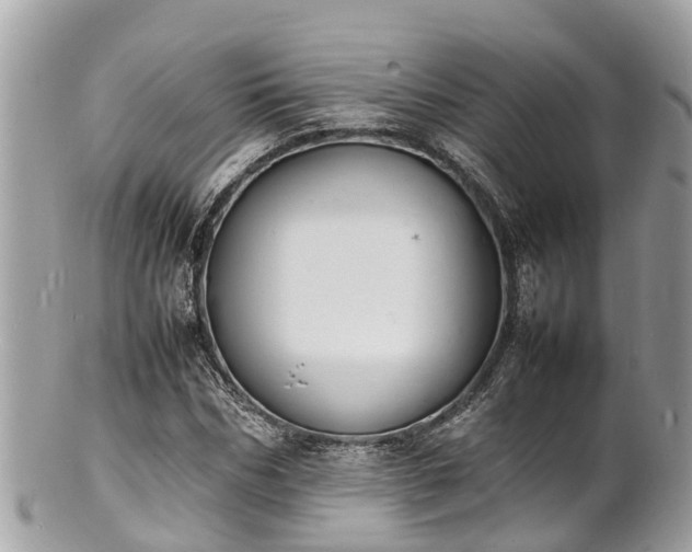 X0000100980970200807011440