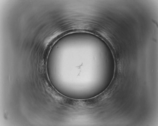 X0000100980971200807011440