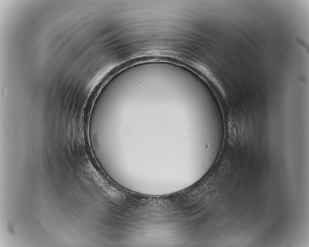 X0000100980972200807011440