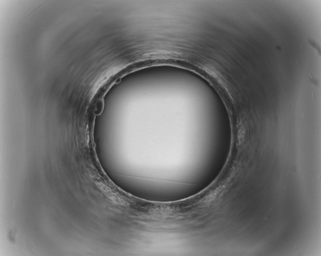 X0000100980973200807011440