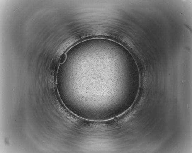 X0000100980977200807011440