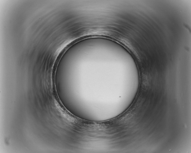 X0000100980980200807011440