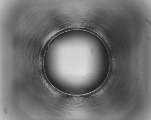 X0000100980981200807011439