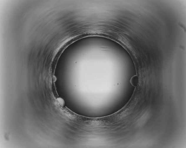 X0000100980984200807011439