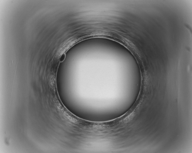 X0000100980985200807011439