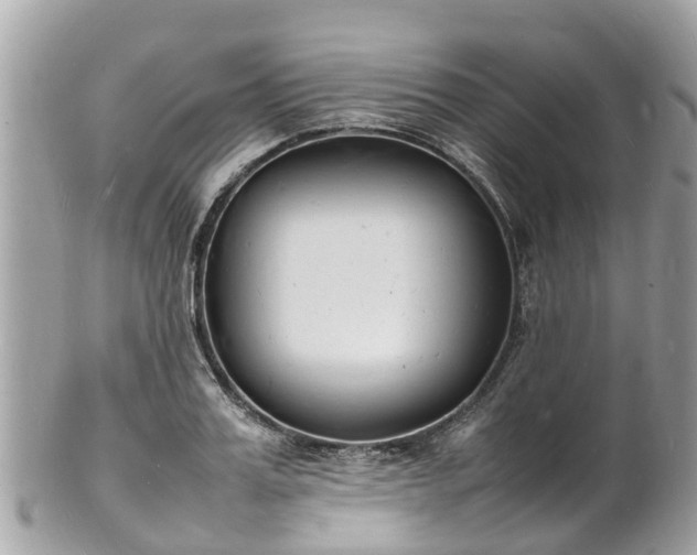 X0000100980987200807011439