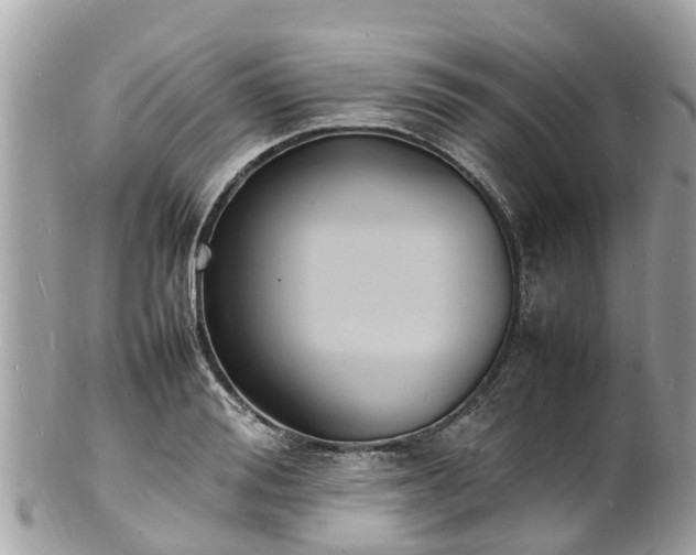 X0000100980988200807011439