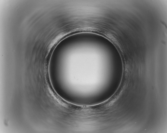 X0000100980989200807011439