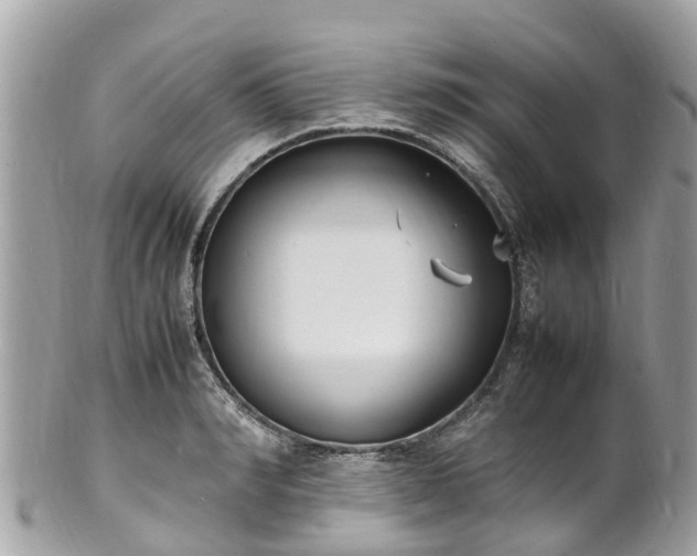 X0000100980990200807011439