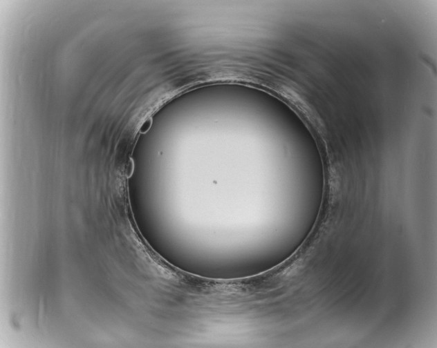 X0000100980993200807011439