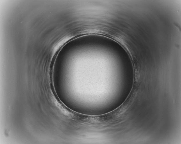 X0000100980995200807011439