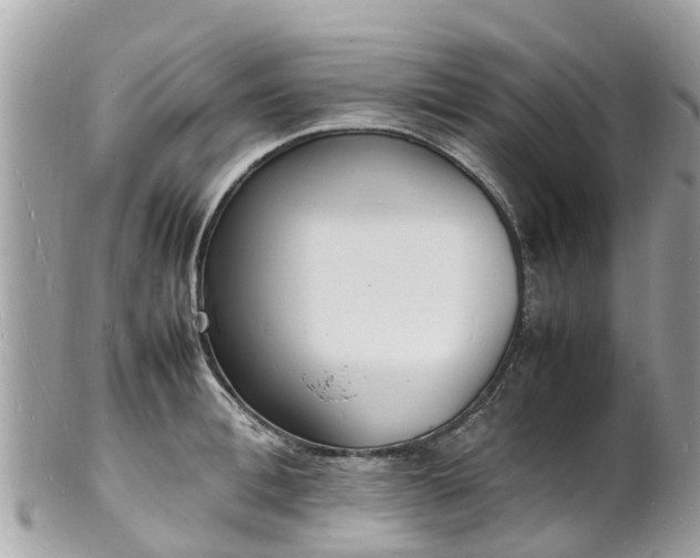 X0000100980996200807011439