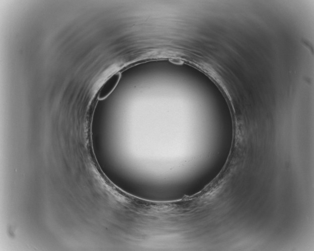 X0000100980997200807011439